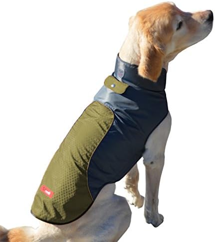 Amazon.com : Peak Pooch - Dog Rain 