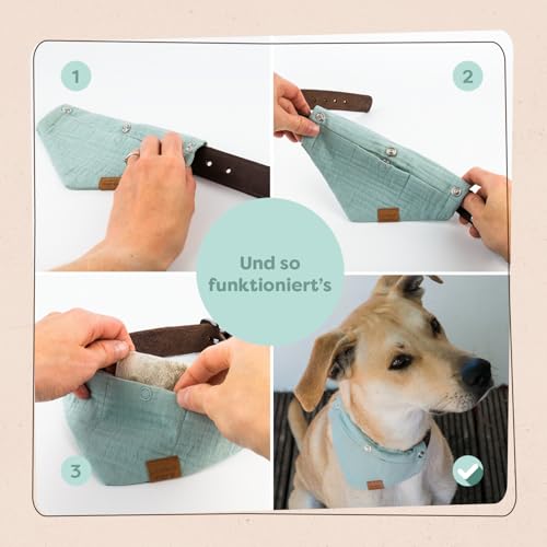 Löwenkind Dogs 100% natürliche Pads für Reiseübelkeit Hunde - wirkungsvolle Entspannung bei Autofahrten (6 Kräuterpads, Travel-Pads bei Reiseübelkeit)