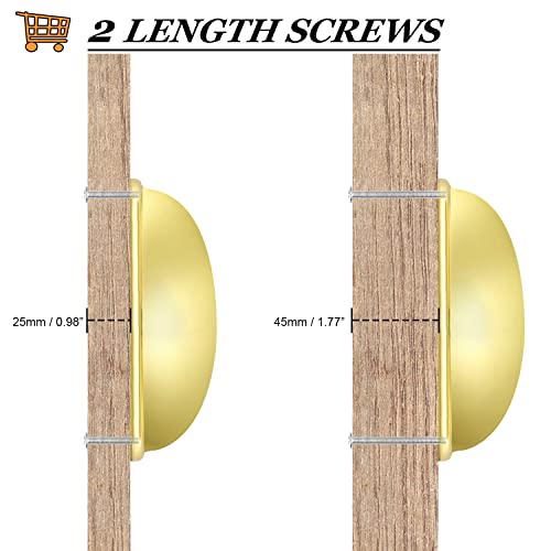 (5 Pack)Probrico Gold Cabinet Handles Bin Cup Drawer Pulls 3 Inch(76Mm) Hole Center Cabinet Cup Pulls Kitchen Cabinet Hardware Shell Style Drawer Handles Knobs Modern Cabinet Pulls For Dresser Closet #TOP4