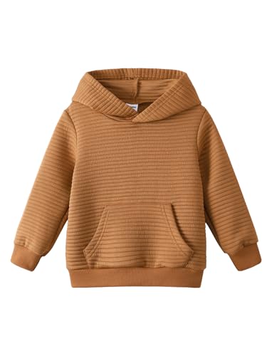 PATPAT Toddler Hoodies Boy's Hooded Sweatshirt with Pocket Solid Color Pullover Hoodies for Toddler Girl