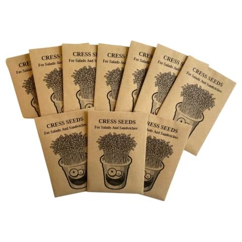 Healthy Family Eco Friendly Birthday Party Bags Fillers -No Plastic- Party Favours. Birthday Party Bag Fillers. Alternative Party Bag Favours. Cress seeds (Funny Face) Cover