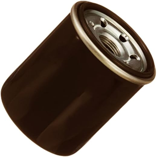 Engine Oil Filter Compatible with Hyundai Santro/I-10