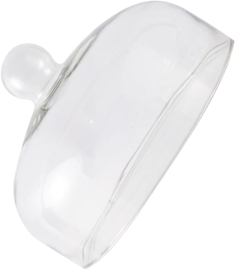 TOYANDONA Glass Cake Cover Large Dustproof Glass Dome Fruit Plate Protector Dessert Display Cloche for Kitchen Dining Serving