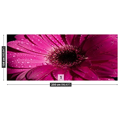 Papier Peint Moderne Tulup Gerbera Violet Masquage Défauts Mur 250x104cm