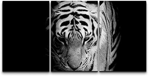wall26 Canvas Print Wall Art Set Black & White African Tiger Portrait Animals Wildlife Photography Realism Rustic Scenic Relax/Calm Nature for Living Room, Bedroom, Office - 16"x24"x3 Panels