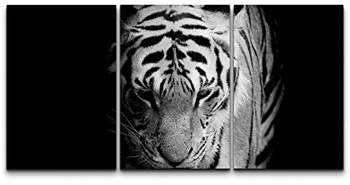 Wall26 Canvas Print Wall Art Set Black & White African Tiger Portrait Animals Wildlife Photography Realism Rustic Scenic Relax/Calm Nature For Living Room, Bedroom, Office - 16"X24"X3 Panels #TOP1
