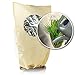 Produktbild Bio Green Kübelpflanzensack mit Fenster XL - Window aus Micro-Vlies | Pflanzenschutzsack zum Schutz vor Frost, Wind, Schnee, Regen & Austrocknung | H 100 x B 80 cm, Ø 51 cm