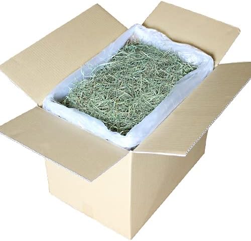 【令和6年度産新刈り】牧草市場 USチモシー 3番刈り 牧草 スーパーソフト 5kg （うさぎ・モルモットなどの牧草）