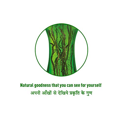 Kumarika Hair Fall Control Hair Oil (Non Sticky, Silky Smooth and Strong Hair for Men and Women) 100ml (Pack of 2)