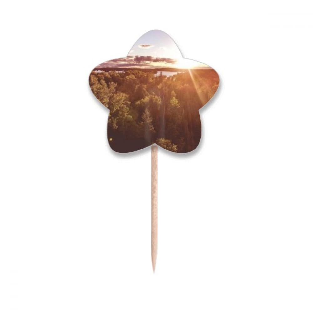Cure-dents drapeaux cupcake picks science nature etoile pour decoration de gâteau d\'anniversaire