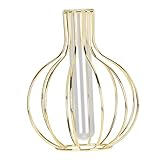 Décoration de la maison : les vases en verre peuvent être remplis de diverses plantes hydroponiques.