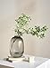 GeLive Smoked Glass Vase, Primary Colored Glass Vase, Clear Tabletop Vase, Flower Arrangement for Long Stem Branch Artificial Plant Home Indoor Centerpiece Decoration (Smoky Gray)