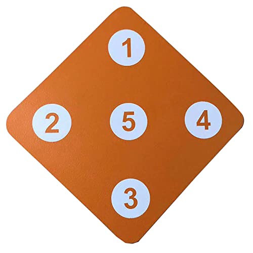 BeiLiHe Cible D'escrime avec Cinq Bullseye - Cible D'épée Auxiliaire Auto-entraînement - Équipement D'escrime Domestique pour Escrimeur Enfant et Adulte (Color : Orange)