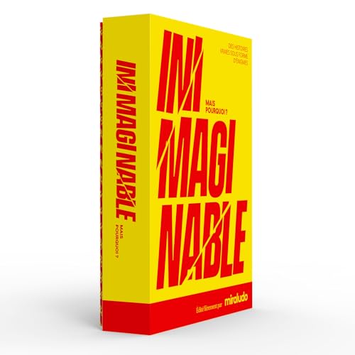 Jeu d’ambiance Miraludo Inimaginable - vue 6