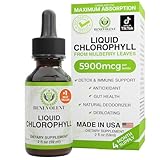 Chlorophyll Liquid Drops - Energy Boost | Immune System Support | Internal Deodorant | Altitude Sickness. Premium Quality - 100% Natural, Potent, Minty Taste, 2X Absorption. Alcohol and Gluten Free.