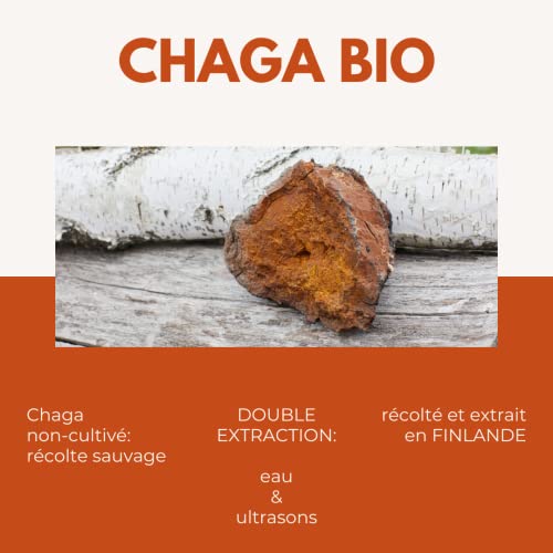 Chaga Bio gélules complément alimentaire santé immunitaire Siho