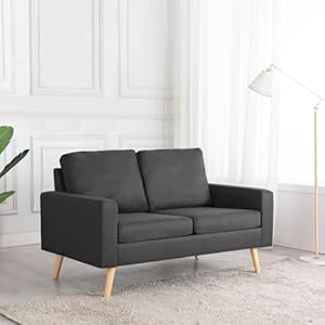 Homgoday Dunkelgrauer 2-Sitzer-Sofa mit weichem Stoff und PP-Baumwolle Kissen | 130 x 76 x 82,5 cm | Wohnzimmer oder Büro Terrassensofas, Gartenmöbel Model288704