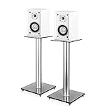 Für die fachgerechte Aufstellung sorgen die beiden BS58 Lautsprecherständer in einer stilvollen Kombination aus Sicherheitsglas und Aluminiumfuß. Die Lagerung der Bodenplatten auf Metall-Spikes reduziert Vibrationen und Klangverluste auf ein Minimum.