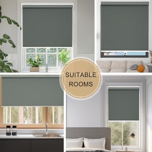 Image of Changshade Blackout Roller Shades for Indoor Windows,Cordless Roller Blinds,Free-Stop Roll Up Shades with Thermal Insulated, Uv Protection Fabric for Bedroom,Office,French Door,20.5 inch W72 H,Gray