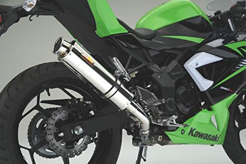 Realize (ACY) JTL jW250SL (JBK-BX250A) 2015N`2016NfΉ oCN}t[ Aria AA XeX J[^Cv (TypeC) }t[ Ninja250SL 514-SO-003-01