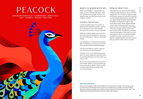 Animal Power: 100 Animals to Energize Your Life and Awaken Your Soul