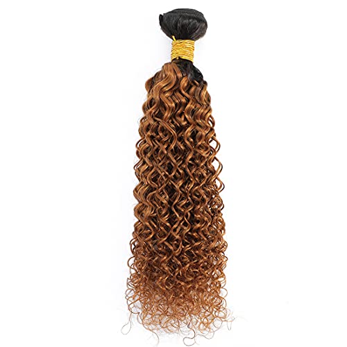1B/#30 Ombre Brazilian Kinky Curly Hair 1 Bundle, 100% Unprocessed Human Hair Extensions, 2 Tone Dark Brown Weaves 100g (22")