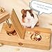 2 Pack Guinea Pig Foraging Toys, Guinea Pig Enrichment Toys Wooden Interactive Bunny Puzzle Toys, Small Animals Hide Treats Dispenser for Hamster, Rabbits, Bunny, Chinchillas