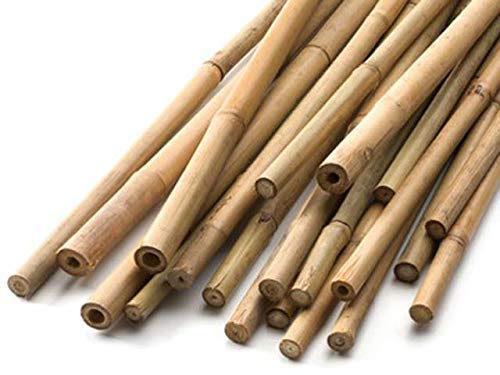 HomeZone 20pc 150cm Bamboo Canes For Garden Natural Wooden Tomato Plant Support Stakes Heavy Duty 5ft Bamboo Sticks For Plants Ideal For Tomato Sticks Sunflower Plant Supports Runner Bean Canes