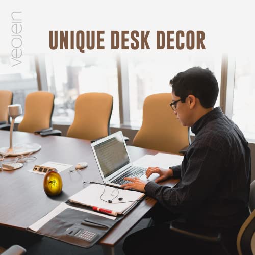 VEOJEIN Jurassic Era - 2D Mosquito in Amber - Piece of History - Resin Paperweight - Realistic Jurassic Collectible - Flat Bottom - Dinosaur DNA - Park on Cane Top - 3D Shaped - 2D UV Printing