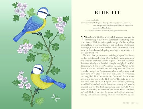 Image of The Folklore of Birds: The forgotten tales behind nature's most enigmatic creatures
