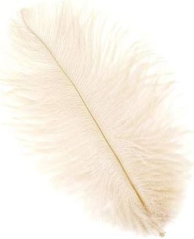 Zucker 12pc Ostrich Feather Craft Supplies - 4-8 inch (10-20 cm) Natural Colorful DIY Wedding Home Decor - Beige