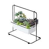 Photo Gallery xuejuanshop vasi da fiori pentola di fiori in ceramica con mensola in metallo in porcellana in porcellana in porcellana pentola design desktop flowerpot giardino arredamento vaso piante interni Photo Gallery xuejuanshop vasi da fiori pentola di fiori in ceramica con mensola in metallo in porcellana in porcellana in porcellana pentola design desktop flowerpot giardino arredamento vaso piante interni