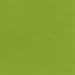 Bazzill Card Shoppe Heavyweight Cardstock 8.5"X11"-Easter Grass 25 per pack