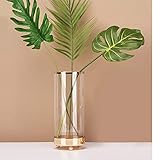 ⭐Elegant & Beautiful: Mit goldfarbenem Mund und goldenem Metallfuß ist die Glasvase auffällig und wunderschön und bietet frische und saubere Dekoration für zeitgenössische Kunst für Ihr Zuhause, Ihre Küche, Ihr Esszimmer, Ihr Wohnzimmer, Ihr Schlafzimmer, Ihr Büro, Ihr Restaurant und Ihren Blumenladen usw.