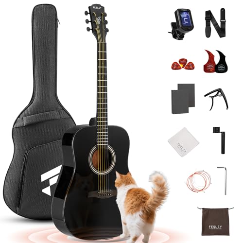 Acoustic Guitar Kit with Accessories for Beginners