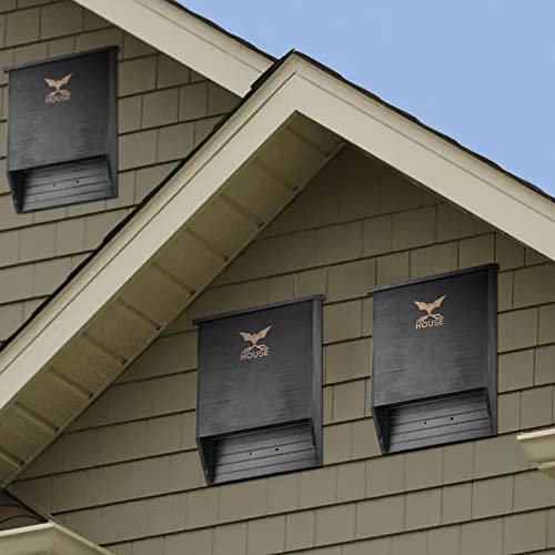 Uthcracy BH-01 Bat Houses For Outdoors thumb #8