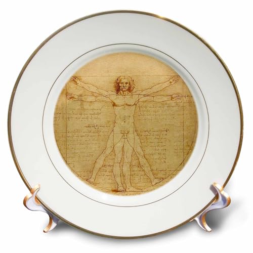 3dRose Vitruvian man by Leonardo da Vinci 1490 - fine anatomical art - human anatomy pen and ink drawing - Porcelain Plate, 8-inch