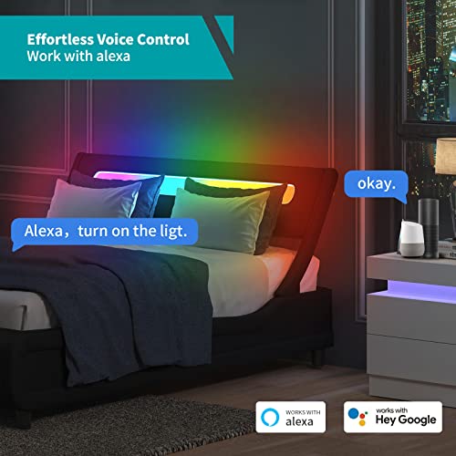 Cecer Queen Bed Frame With Led Headboard Tufted Bedroom Furniture Pvc Upholstered Platform Bed Frame Queen Size - Black #TOP4