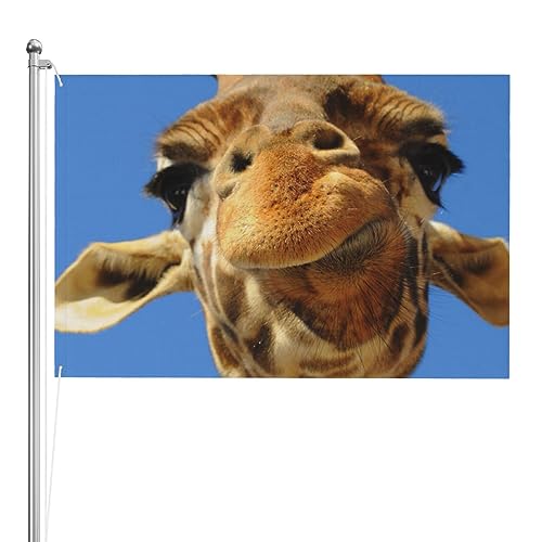 Drapeau girafe amusant pour extérieur afin d'égayer une cour triste