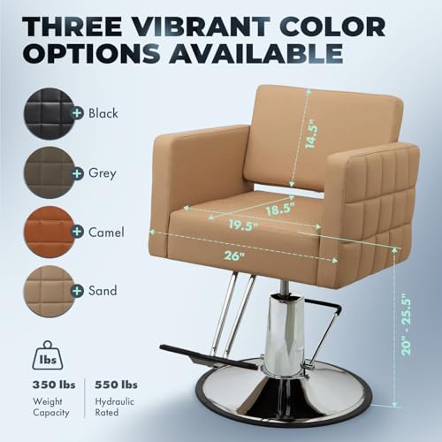 Professional Salon Barber Chair Hydraulic