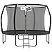 SONGMICS Trampolin 305 cm d, Gartentrampolin für Kinder mit Sicherheitsnetz, 180 cm hohe Gebogene Stangen, Randabdeckung, Leiter, Stahlrahmen, schwarz STR102B01