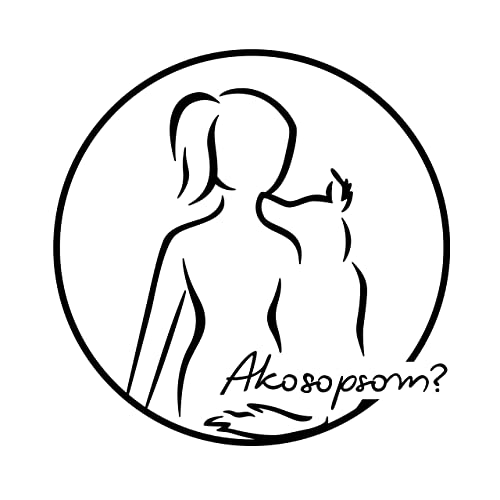 AKO bezpečne CESTOVAŤ SO PSOM v aute