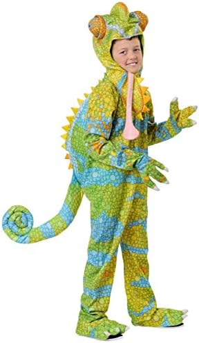 Chameleon Costume for Kids, Lizard Jumpsuit for Dress-Up, Animal ...