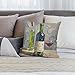 JTKLQBN Plush Pillow Case, Wine Bottles Art Printed Plush Pillow Covers Cushion Case Square Decorative Throw Pillow Covers for Couch Sofa Bed Living Room Bedroom 18 