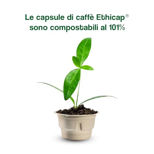 101CAFFE' Mezd? - Compostabile | Sacchetto Da: 50 Capsule Compatibile Con Ethicap? | Intensit? 1/5 - 3