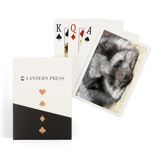 Lantern Press Silver Fox, 52 naipes para adultos, tamaño póker