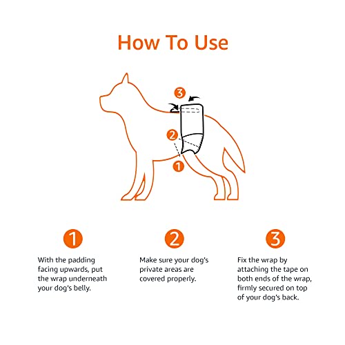 Amazon Basics Hundewindel für Rüden, Einwegwindeln, Größe L, Weiß, 50 Stück