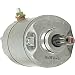 DB Electrical SMU0028 New Starter for Honda ATV ATC 250ES Big Red 87 88/ TRX300 TRX300FW (88-00) 31200-HA0-773 31200-HA0-774 31200-HA6-306 31200-HA6-316 31200-HA6-773 31200-HA6-774 SM13213
