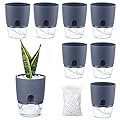 Self Watering Pots for Indoor Plants with Stones