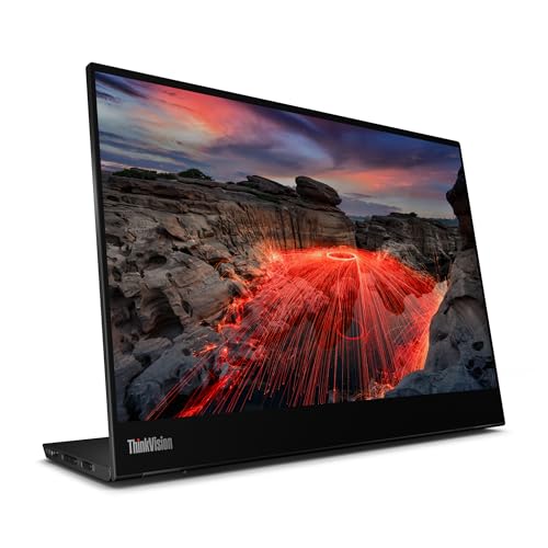 Lenovo ThinkVision M14t Gen2 14 inch Monitor - vue 9